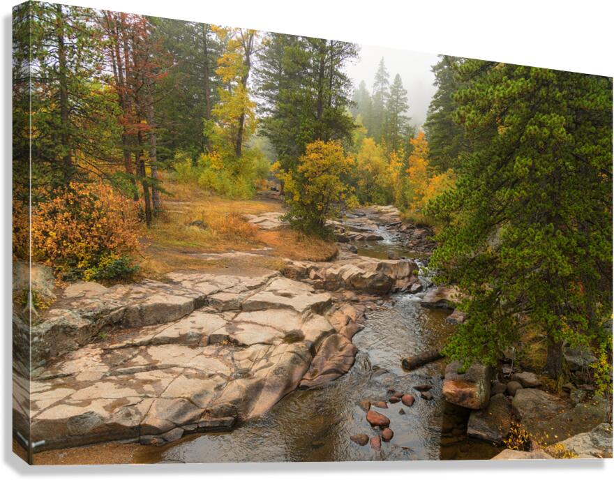 Upstream St Vrain Canvas Print