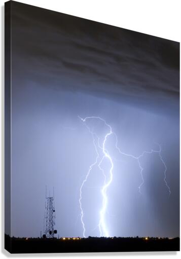Comparing Data Canvas Print