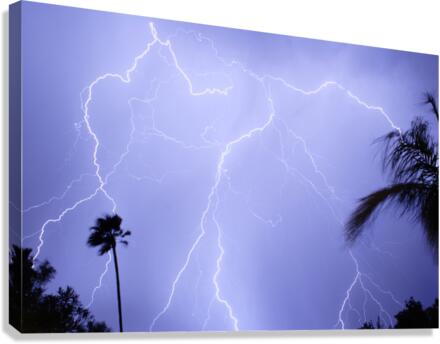 Tropical Storm Canvas Print