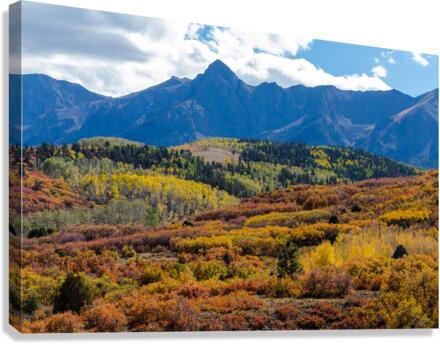 Colorado Color Bonanza Canvas Print