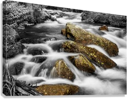 Cascading Water and Rocky Mountain Rocks BWSC Canvas Print