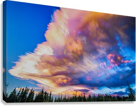High Elevation Forest Sunset Sky Timed Stack Canvas Print