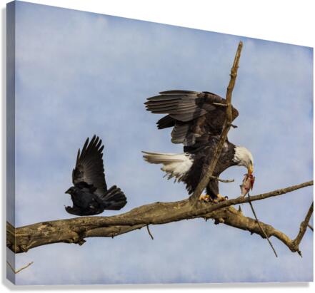 Wings Canvas Print
