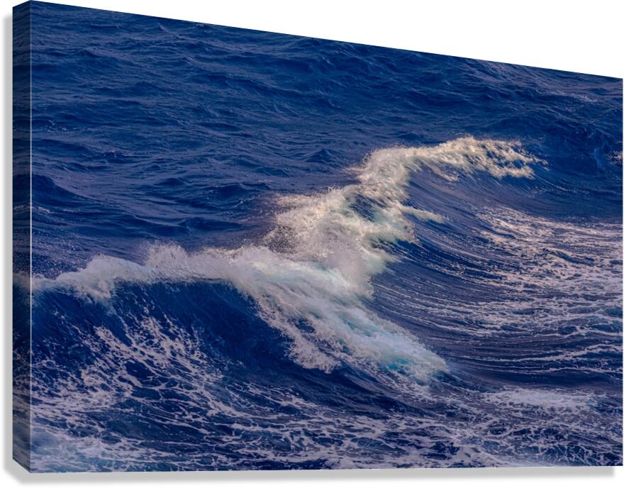 Waves Gracefully Cresting Canvas Print