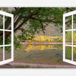 Autumn Season Lakeside  Open White View