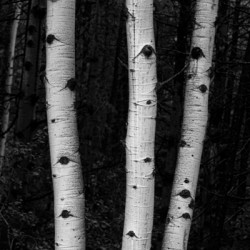 Coming Out Of Darkness