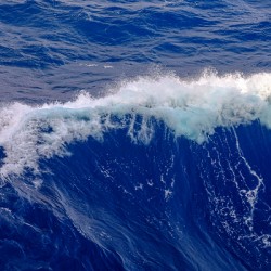 Serenity as the Ocean Waves Crest