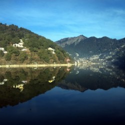 Reflection
