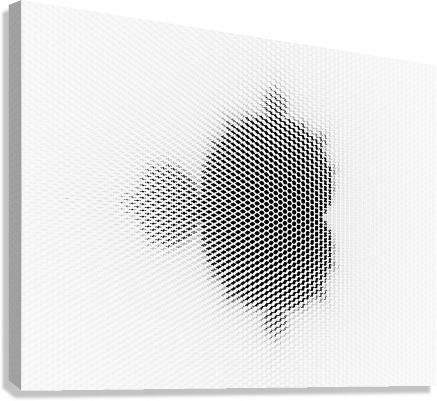 600dpi Canvas Print