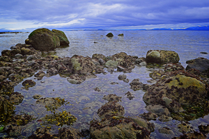Tranquility at Low Tide