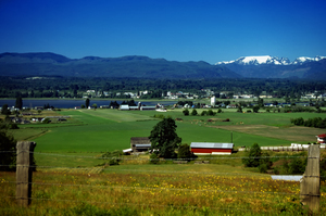 Comox Valley Thirty Years Ago