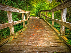 Bridge in the Sanctuary