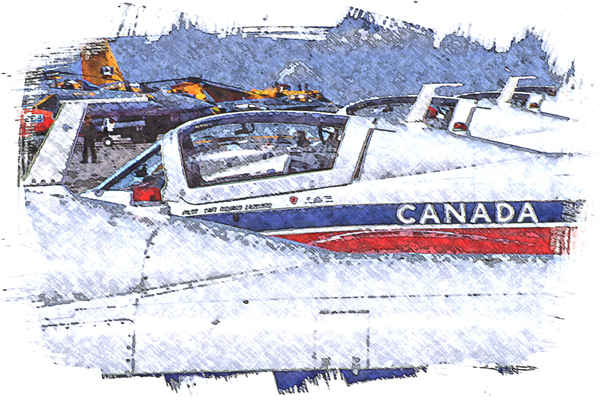 Canadian Snowbirds Print
