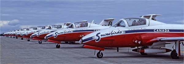 Snowbirds Between Shows by COOL ART BY RICHARD