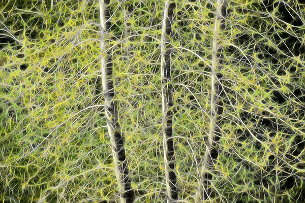 Simulated Saplings Print