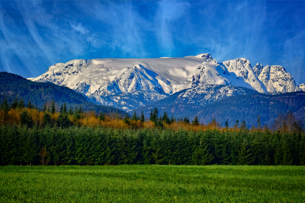 Comox Glacier in Early Spring  Print