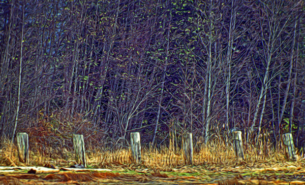 Weathered Fence Posts by COOL ART BY RICHARD