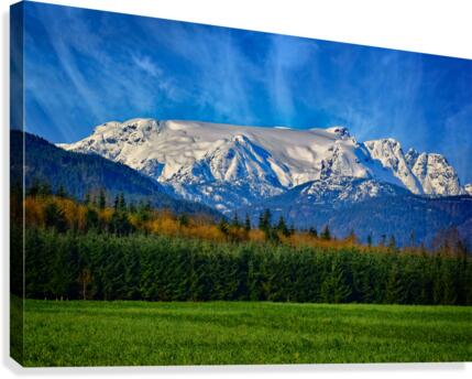 Comox Glacier in Early Spring  Canvas Print