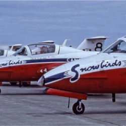Snowbirds Between Shows