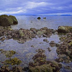 Tranquility at Low Tide