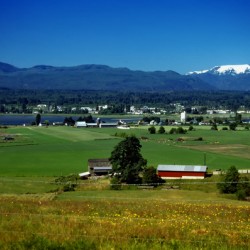 Comox Valley Thirty Years Ago