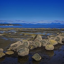 Boulders at Low Tide