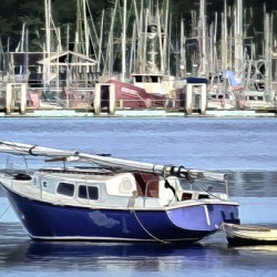 Resting in the Harbor