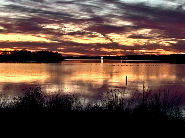 IMG 4100 by MaryBeth Norsworthy