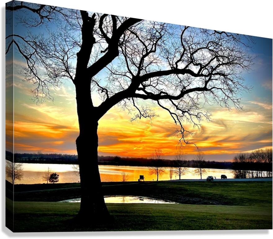 IMG 6009 Canvas Print