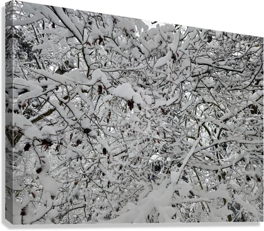 snow 30 Canvas Print