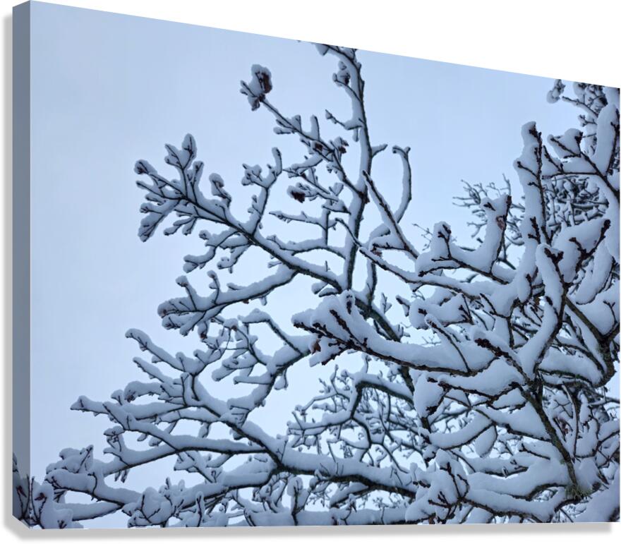 snow 32 Canvas Print