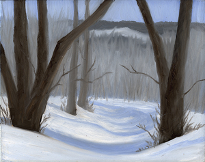 Cottonwood Snowdrift