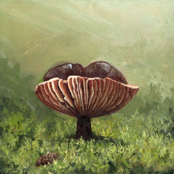 Sentinel of Hidden Lake Print