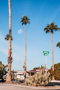 At the Corner of Barrell and Prickly Pear