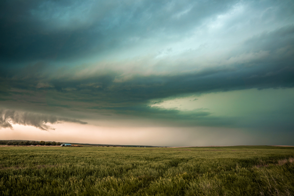 Shelf Cloud  by Kelley Richens
