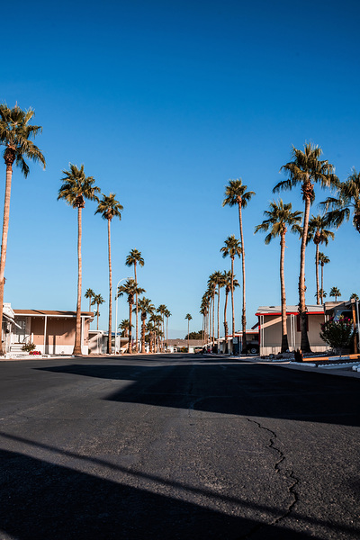 Arizona Morning by Kelley Richens