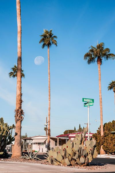 At the Corner of Barrell and Prickly Pear by Kelley Richens