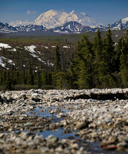 Denali from the North