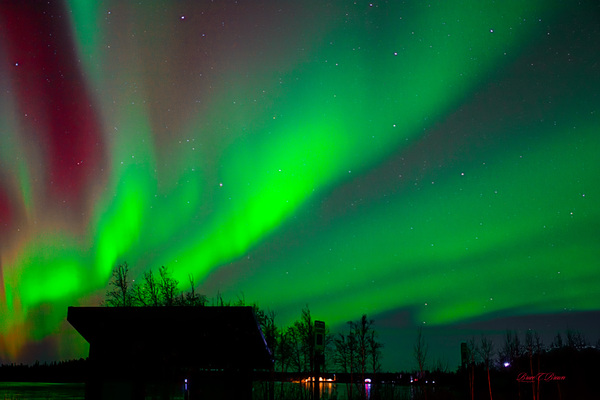 Reds yellows greens oh my Print