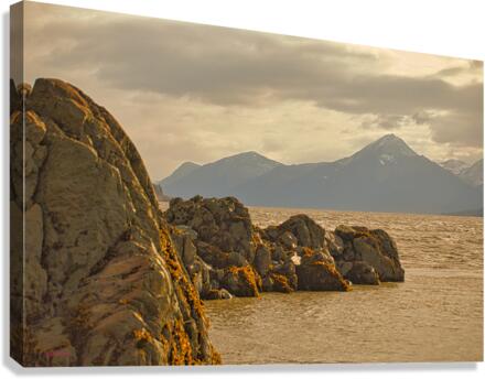 Turnagin Arm Canvas Print