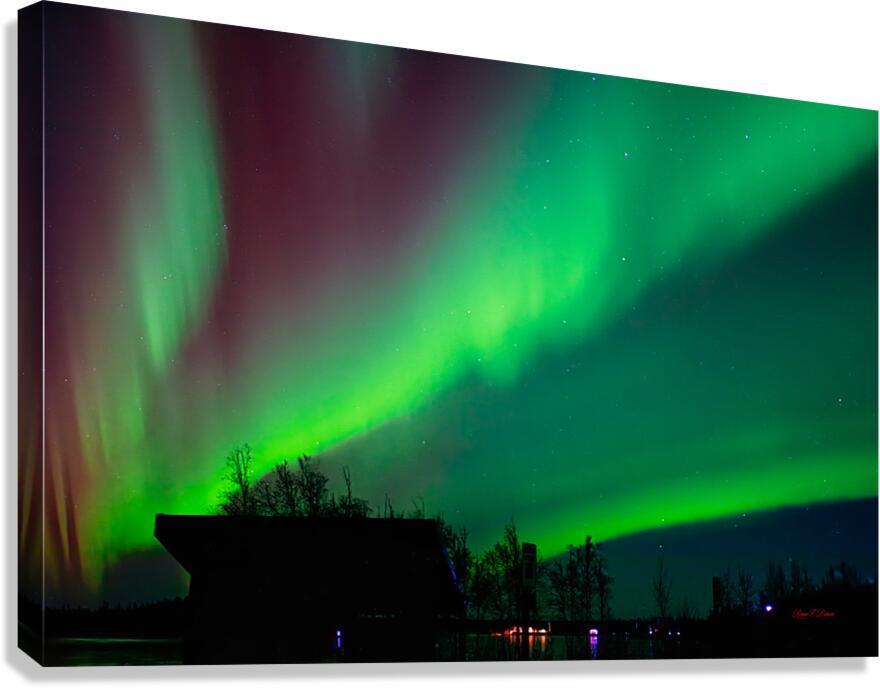 Friday night lights Canvas Print