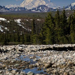 Denali from the North