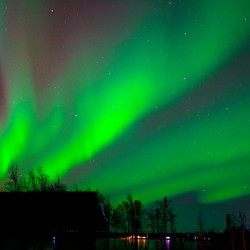 Reds yellows greens oh my