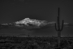 BW Saguaro Sunset Storm