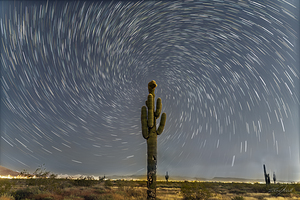 Celestial Dance Over the Crested Saguaro
