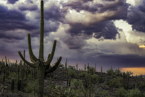 Stormy Arizona Sunset
