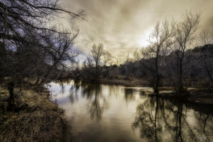 Winter Reflections on Dry Beaver Creek