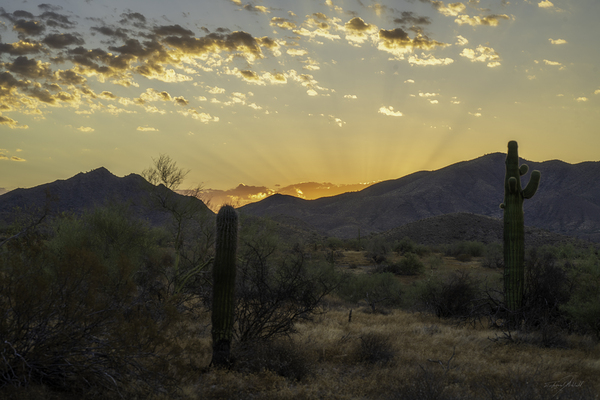 Sonoran Dawn Print