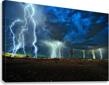 OhNo  - Winner of 2023 World Meteorological Organization Calendar Contest - April Feature Canvas Print