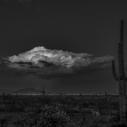 BW Saguaro Sunset Storm